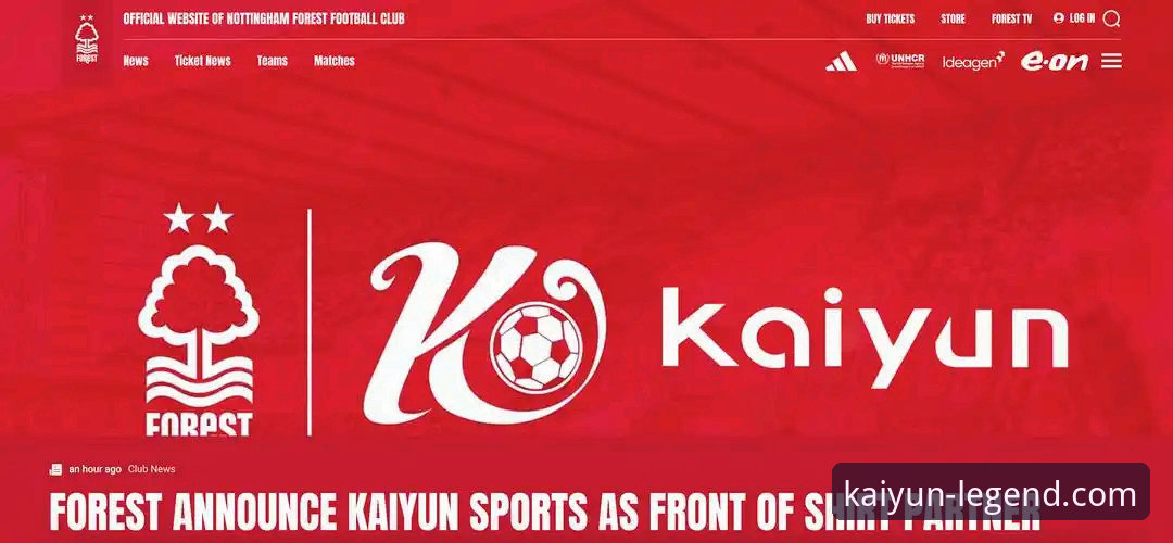 掌握开云体育体验的5个必备要点